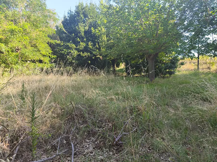 Immagine 20 di Terreno in vendita  in C/DA RINALDI 1 a Appignano