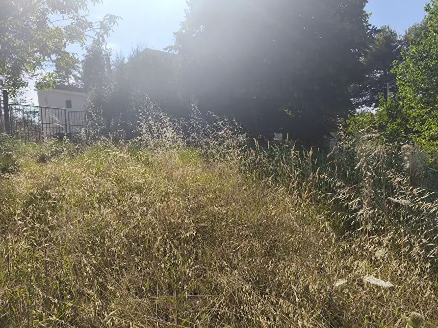 Immagine 10 di Terreno in vendita  in C/DA RINALDI 1 a Appignano