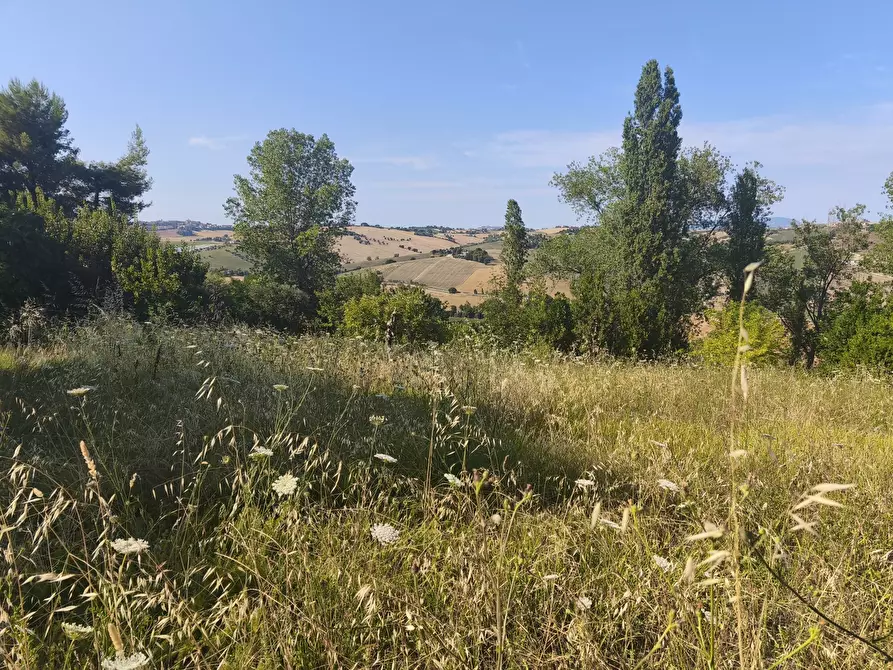 Immagine 12 di Terreno in vendita  in C/DA RINALDI 1 a Appignano