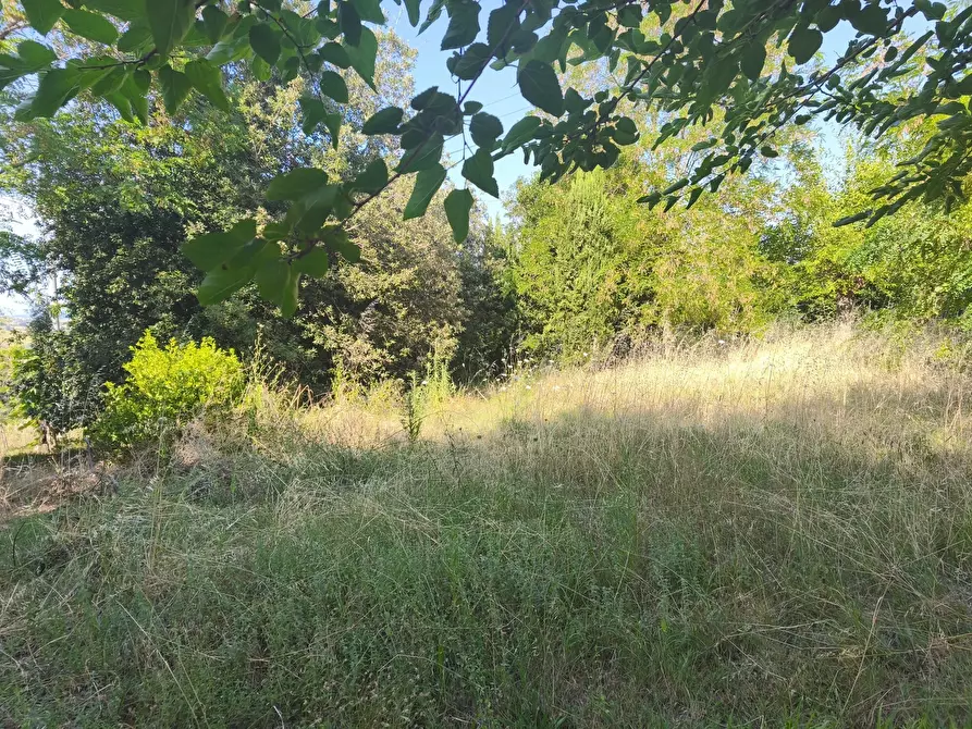 Immagine 25 di Terreno in vendita  in C/DA RINALDI 1 a Appignano