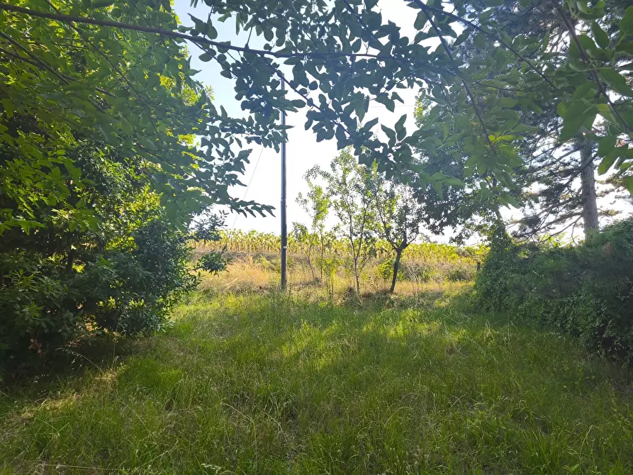 Immagine 23 di Terreno in vendita  in C/DA RINALDI 1 a Appignano