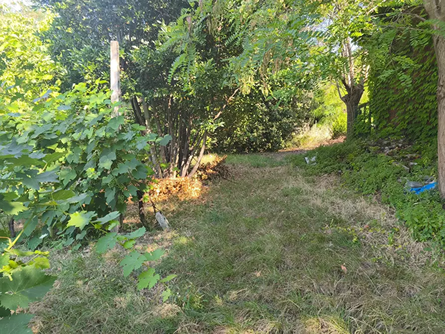 Immagine 16 di Terreno in vendita  in C/DA RINALDI 1 a Appignano