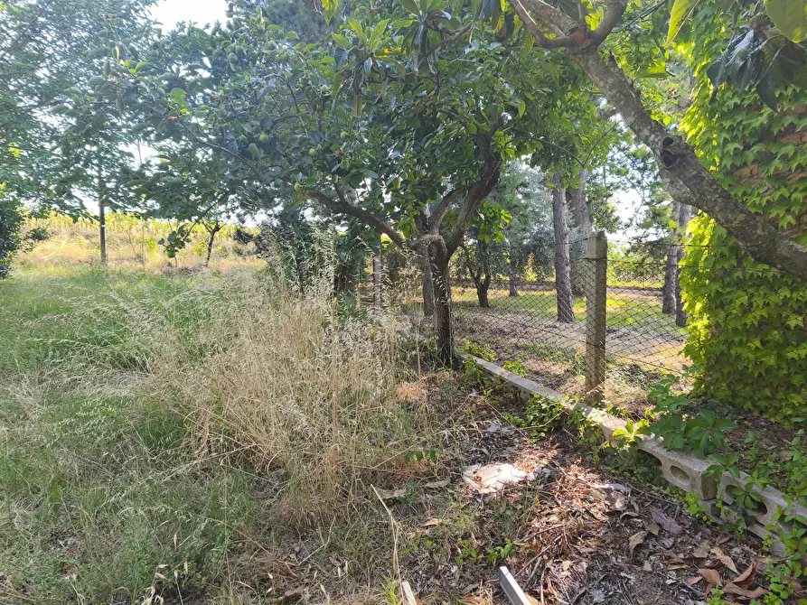 Immagine 21 di Terreno in vendita  in C/DA RINALDI 1 a Appignano