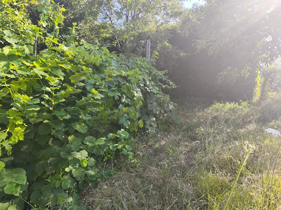 Immagine 5 di Terreno in vendita  in C/DA RINALDI 1 a Appignano