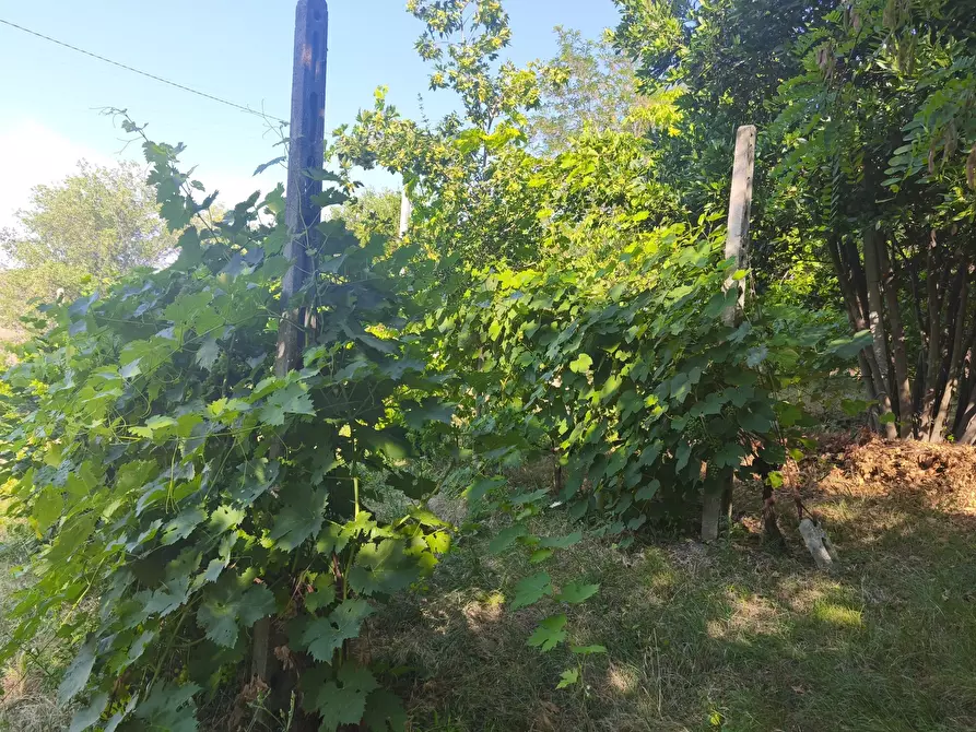 Immagine 2 di Terreno in vendita  in C/DA RINALDI 1 a Appignano