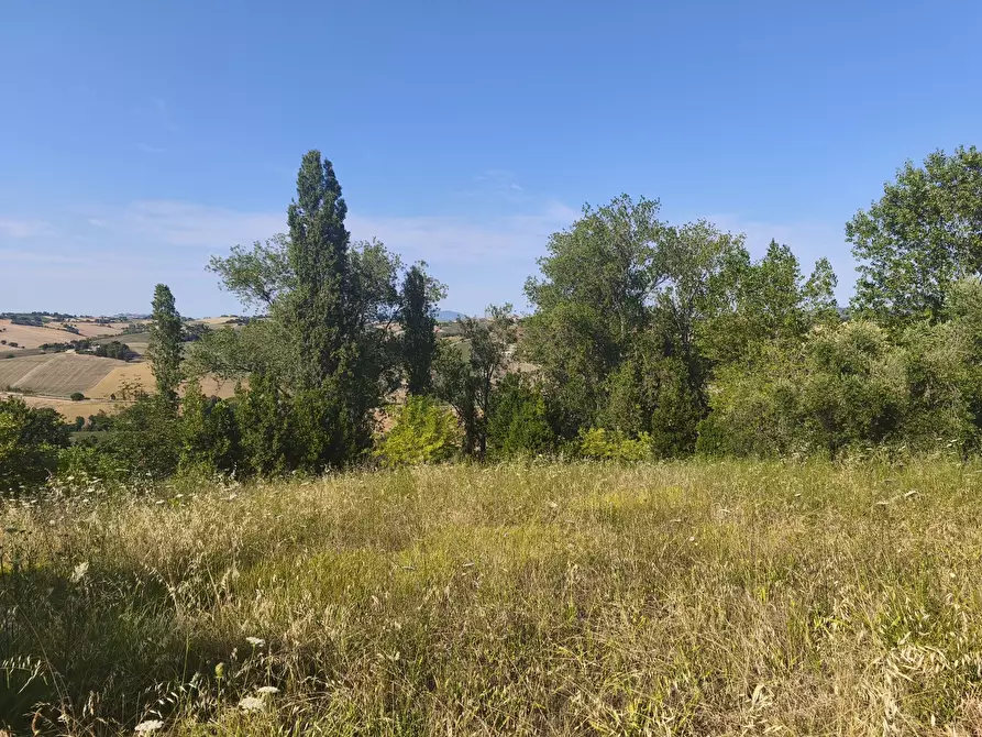 Immagine 13 di Terreno in vendita  in C/DA RINALDI 1 a Appignano