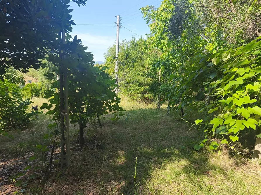 Immagine 18 di Terreno in vendita  in C/DA RINALDI 1 a Appignano