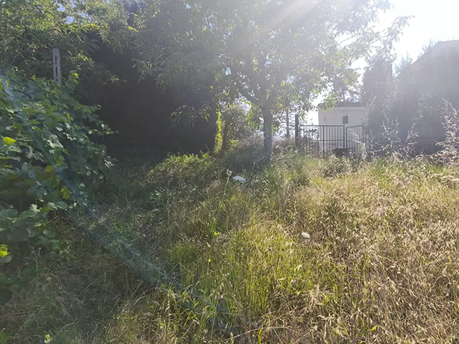 Immagine 11 di Terreno in vendita  in C/DA RINALDI 1 a Appignano