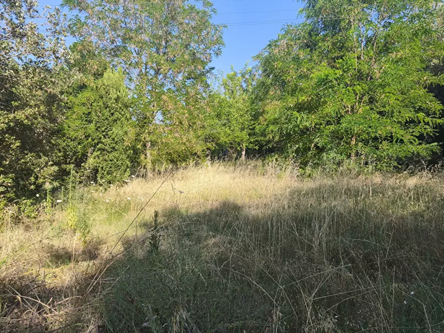 Immagine 22 di Terreno in vendita  in C/DA RINALDI 1 a Appignano