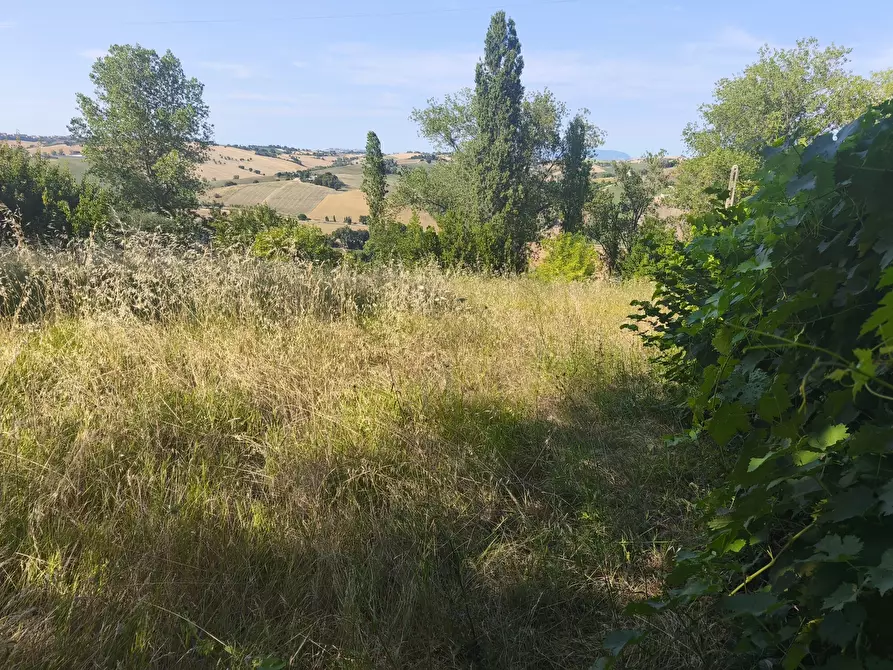 Immagine 6 di Terreno in vendita  in C/DA RINALDI 1 a Appignano