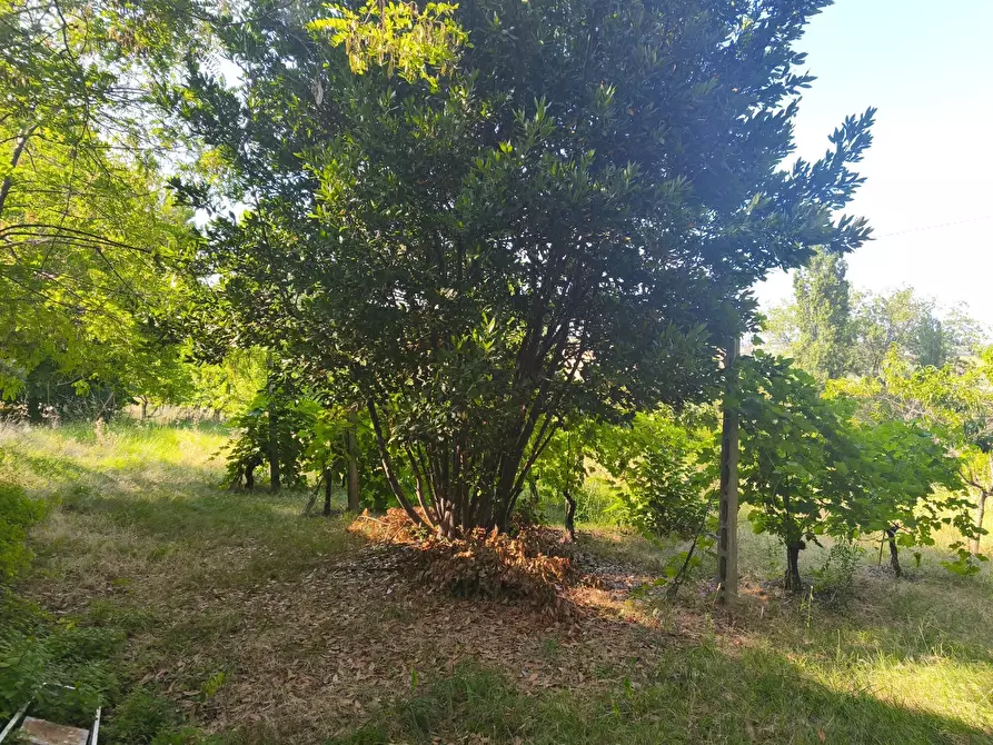 Immagine 26 di Terreno in vendita  in C/DA RINALDI 1 a Appignano