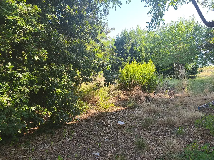 Immagine 19 di Terreno in vendita  in C/DA RINALDI 1 a Appignano