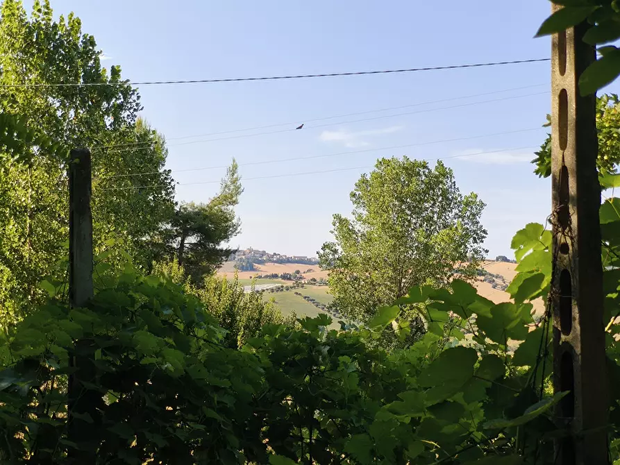 Immagine 27 di Terreno in vendita  in C/DA RINALDI 1 a Appignano