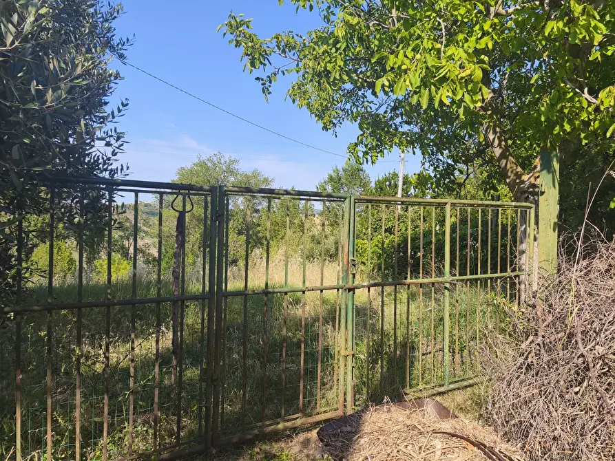 Immagine 4 di Terreno in vendita  in C/DA RINALDI 1 a Appignano