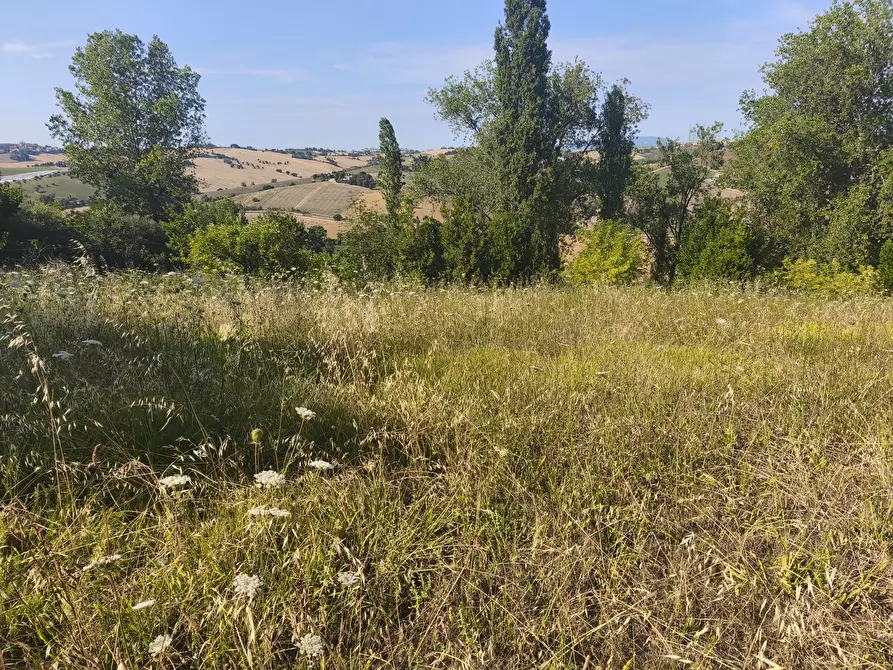 Immagine 8 di Terreno in vendita  in C/DA RINALDI 1 a Appignano