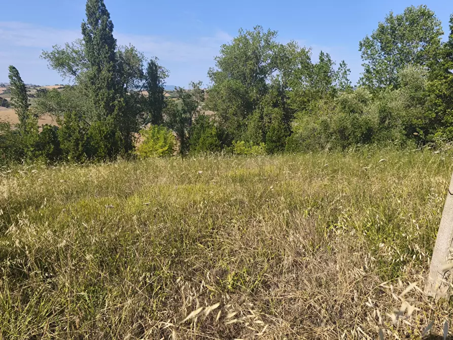 Immagine 7 di Terreno in vendita  in C/DA RINALDI 1 a Appignano