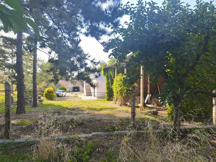 Immagine 3 di Terreno in vendita  in C/DA RINALDI 1 a Appignano