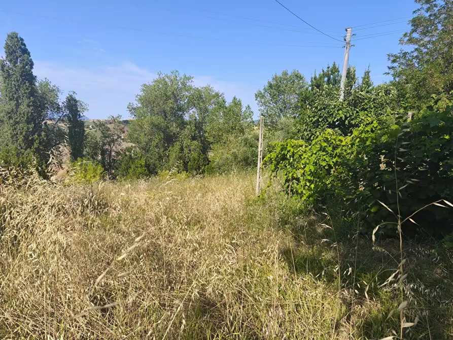 Immagine 1 di Terreno in vendita  in C/DA RINALDI 1 a Appignano