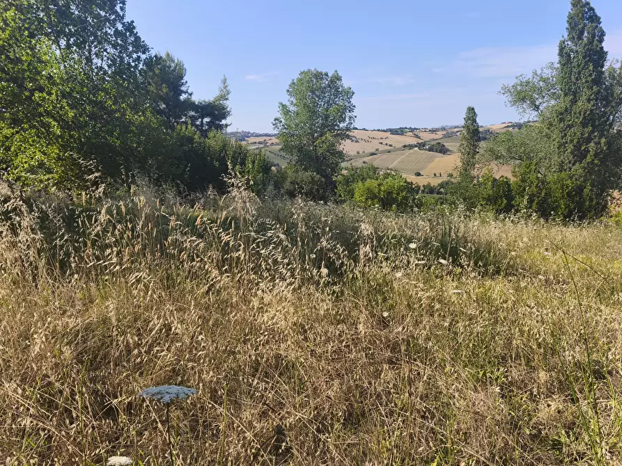 Immagine 15 di Terreno in vendita  in C/DA RINALDI 1 a Appignano