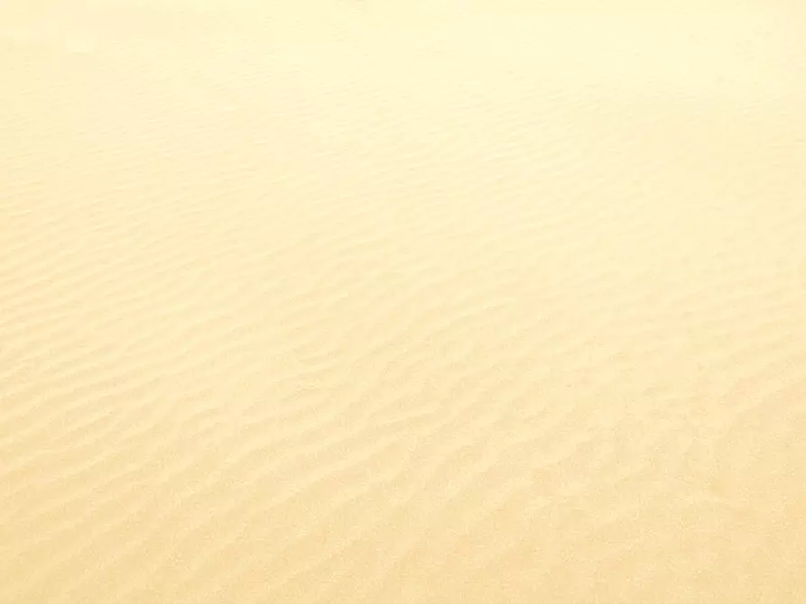 Immagine 35 di Villa in vendita  in Via Cento 190 a San Giovanni In Persiceto