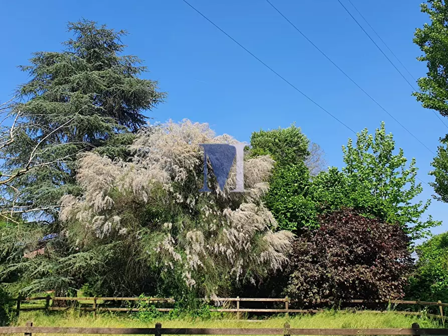 Immagine 3 di Villa in vendita  in Via Adolfo Callegari 1 a Teolo