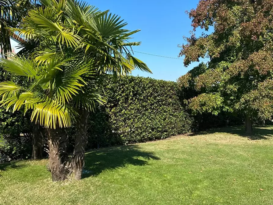 Immagine 23 di Villa in vendita  in viale don sturzo a Annone Veneto