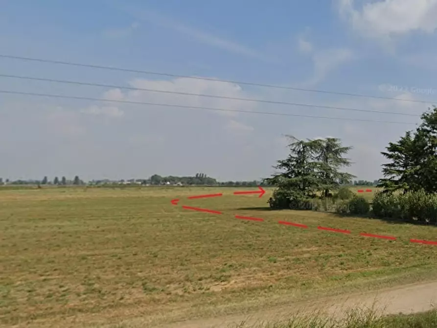 Immagine 2 di Terreno residenziale in vendita  in Castelletto Borgo a Roncoferraro