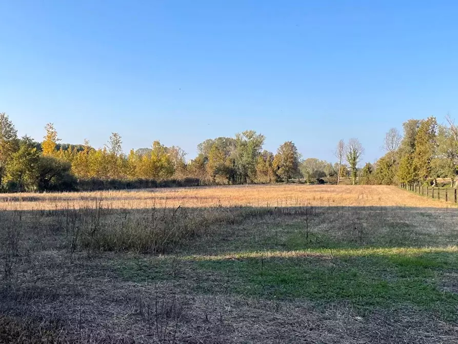 Immagine 13 di Casa colonica in vendita  in località Forni  - Castellaro Lagusello 50 a Casalmoro