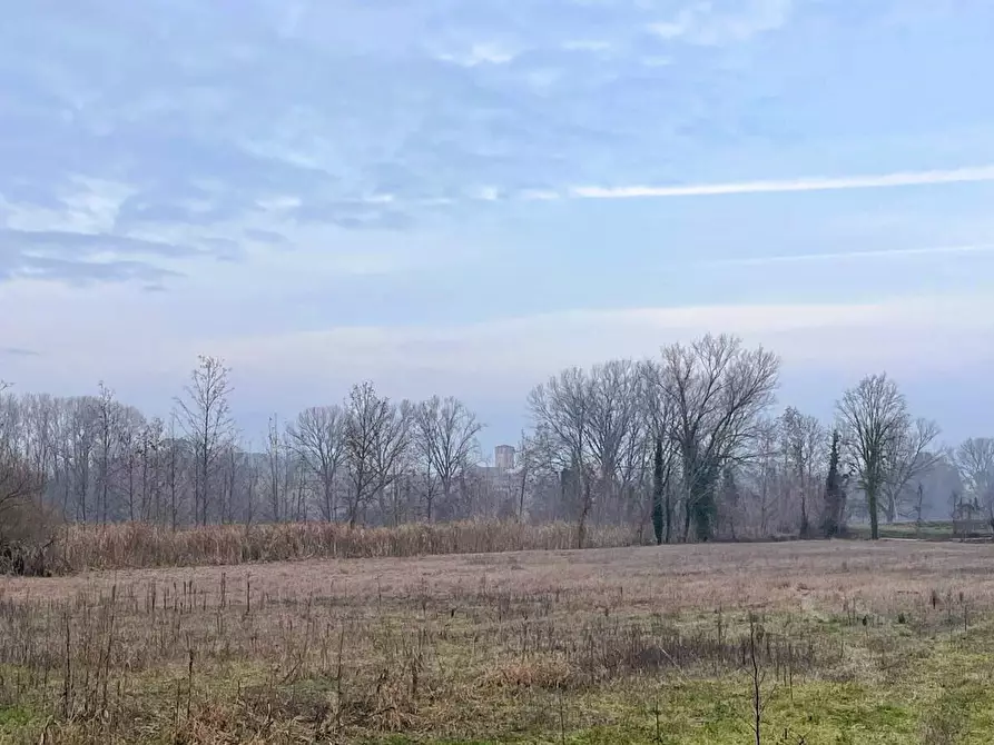 Immagine 14 di Casa colonica in vendita  in località Forni  - Castellaro Lagusello 50 a Casalmoro