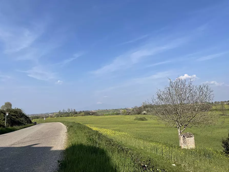 Immagine 17 di Casa colonica in vendita  in Pievemartina a Casalmoro