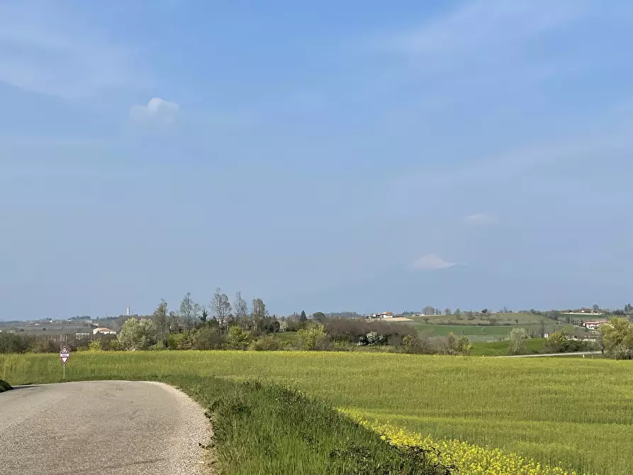 Immagine 16 di Casa colonica in vendita  in Pievemartina a Casalmoro