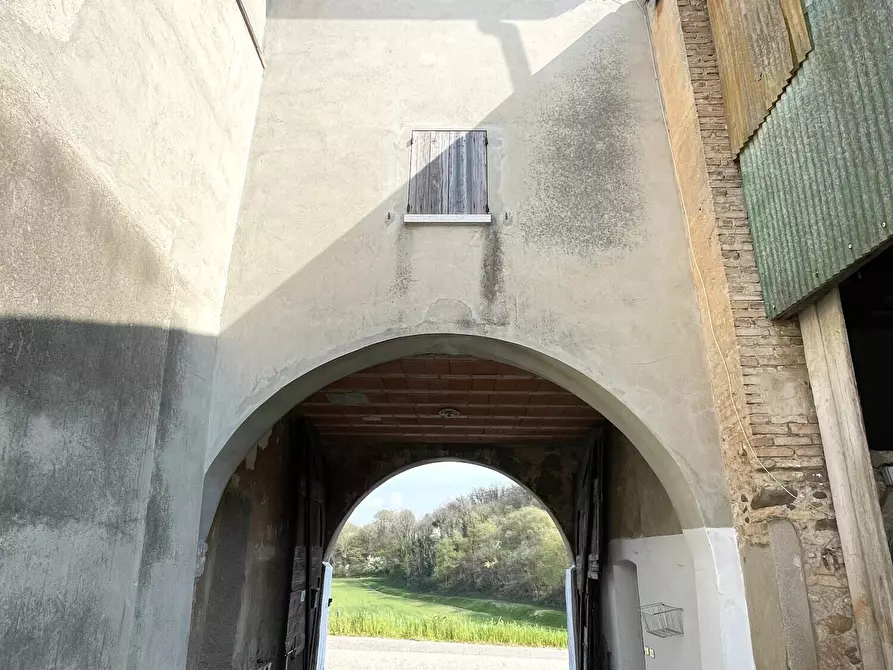 Immagine 3 di Casa colonica in vendita  in Pievemartina a Casalmoro