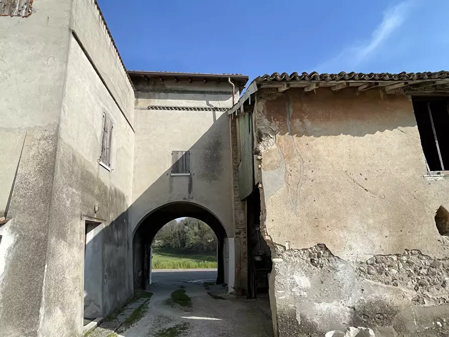 Immagine 7 di Casa colonica in vendita  in Pievemartina a Casalmoro