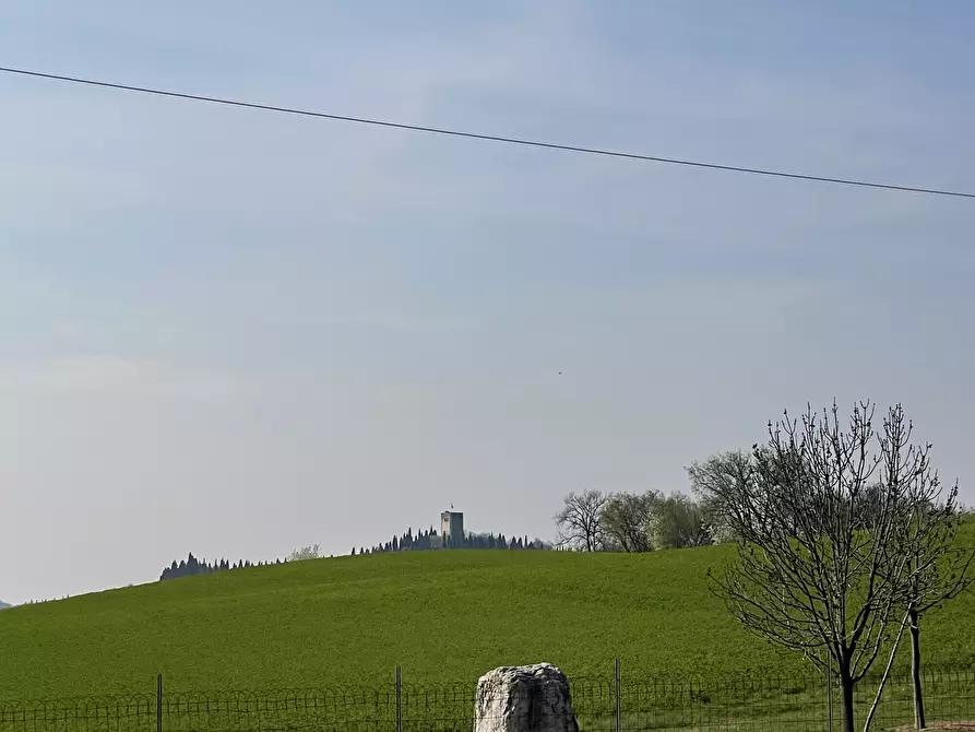 Immagine 19 di Casa colonica in vendita  in Pievemartina a Casalmoro