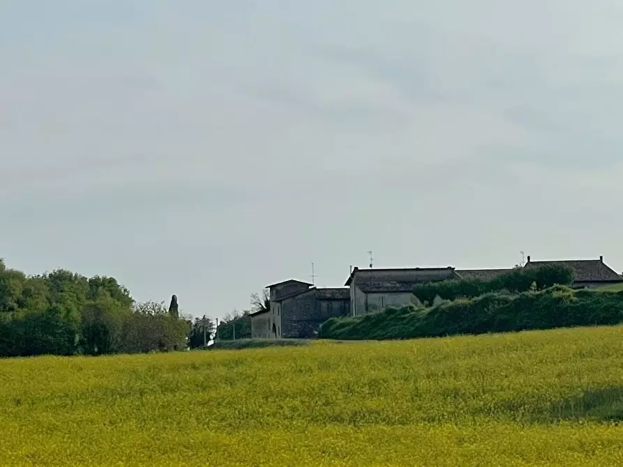 Immagine 20 di Casa colonica in vendita  in Pievemartina a Casalmoro