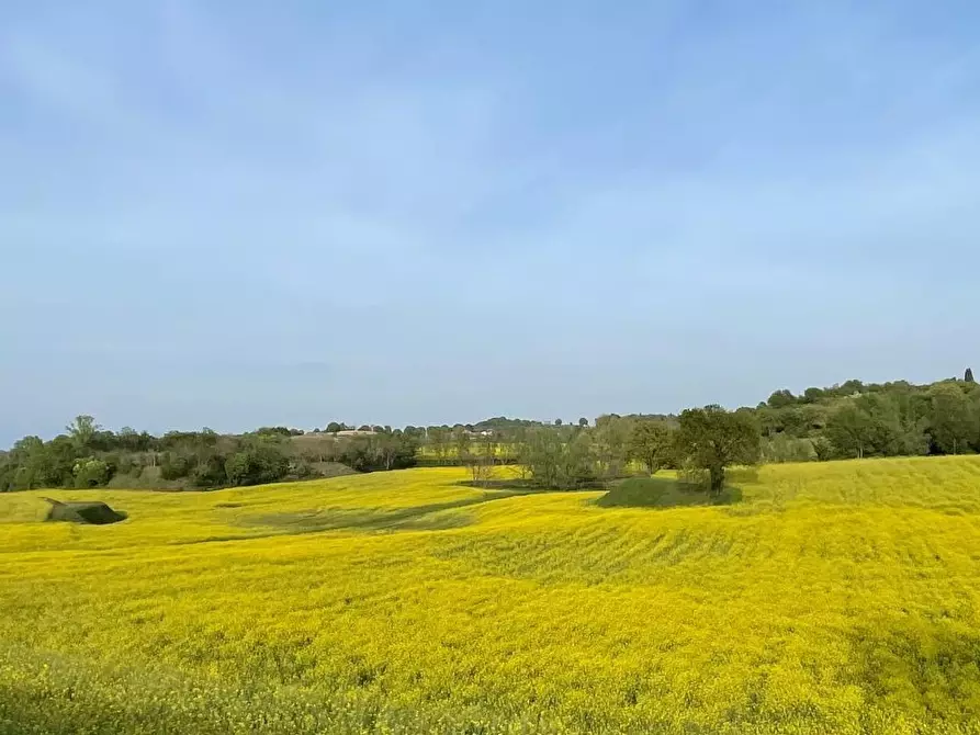 Immagine 23 di Casa colonica in vendita  in Pievemartina a Casalmoro