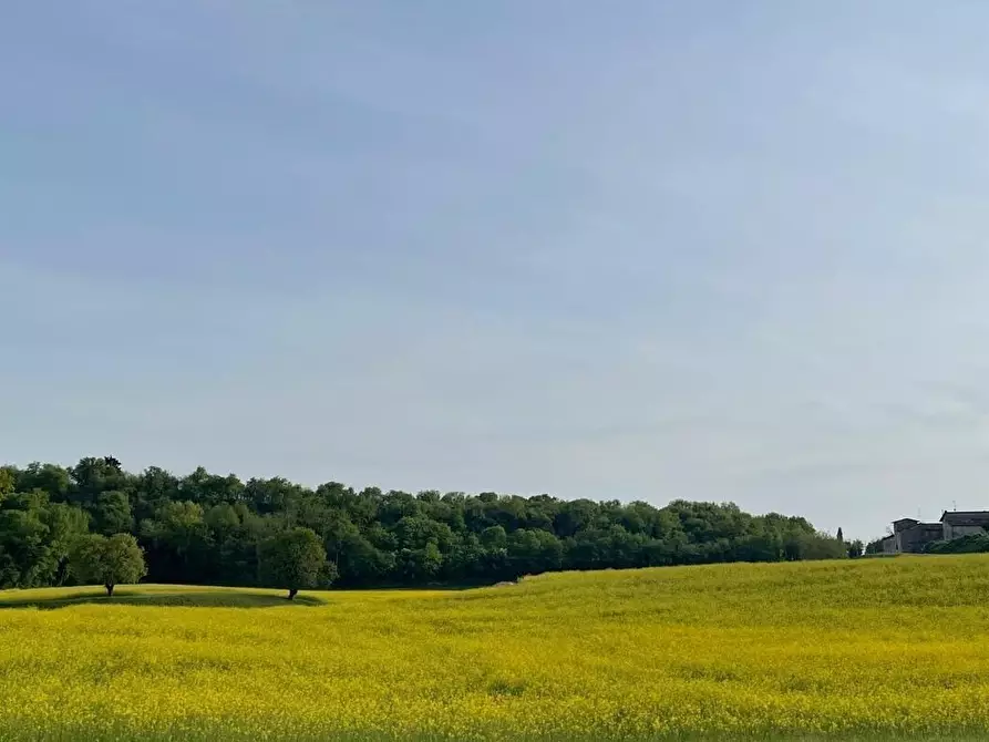Immagine 21 di Casa colonica in vendita  in Pievemartina a Casalmoro