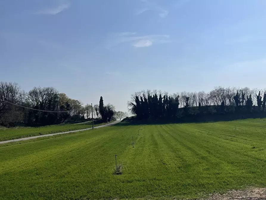 Immagine 15 di Casa colonica in vendita  in Pievemartina a Casalmoro