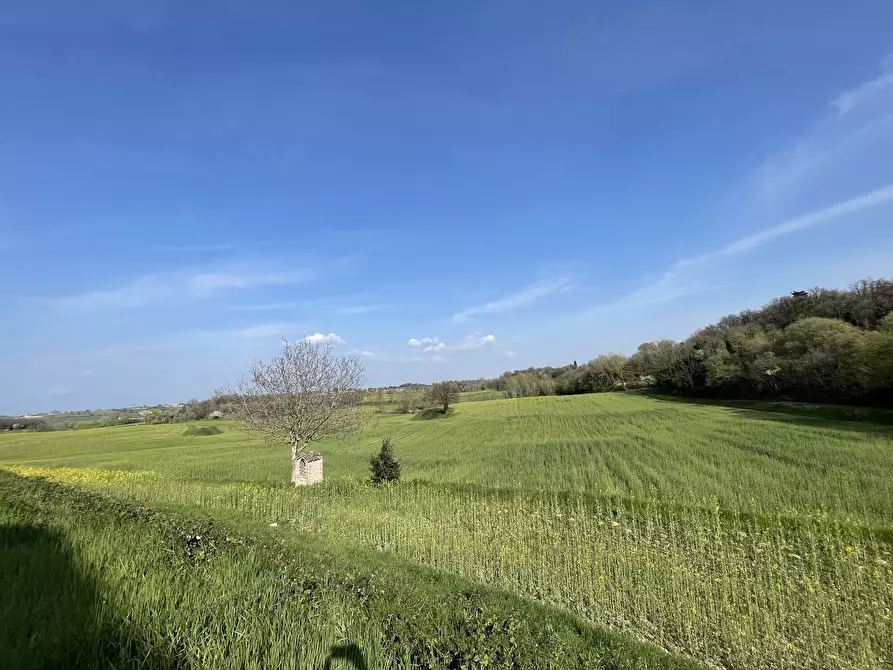 Immagine 18 di Casa colonica in vendita  in Pievemartina a Casalmoro