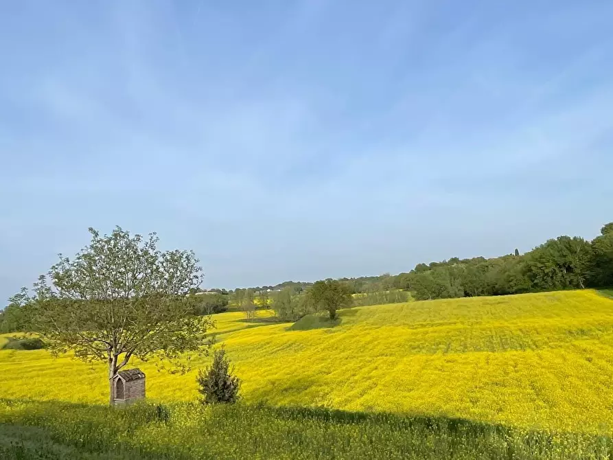 Immagine 22 di Casa colonica in vendita  in Pievemartina a Casalmoro