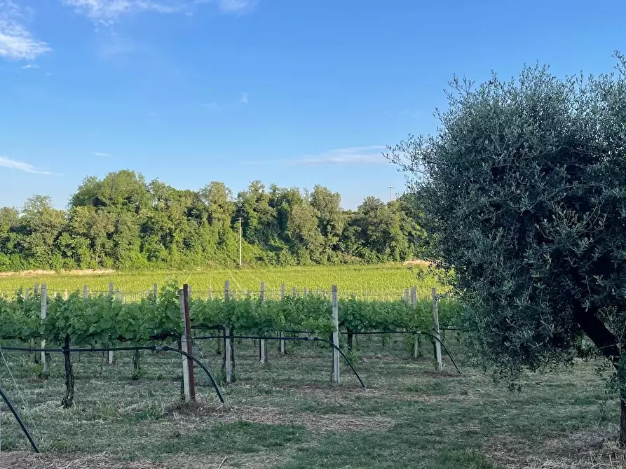 Immagine 16 di Palazzo in vendita  in via Primavera a Casalmoro