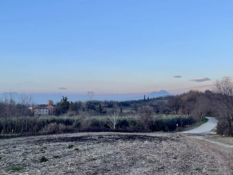 Immagine 25 di Villa in vendita  in Strada Festoni a Casalmoro