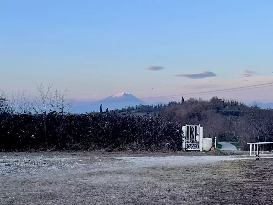 Immagine 26 di Villa in vendita  in Strada Festoni a Casalmoro