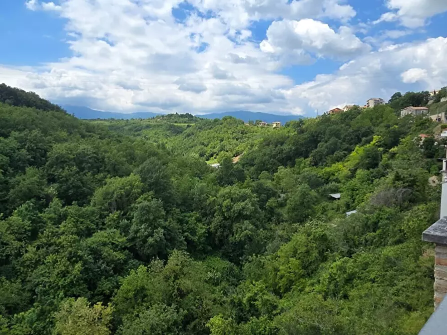 Immagine 34 di Appartamento in vendita  in Via Municipio a Abbateggio