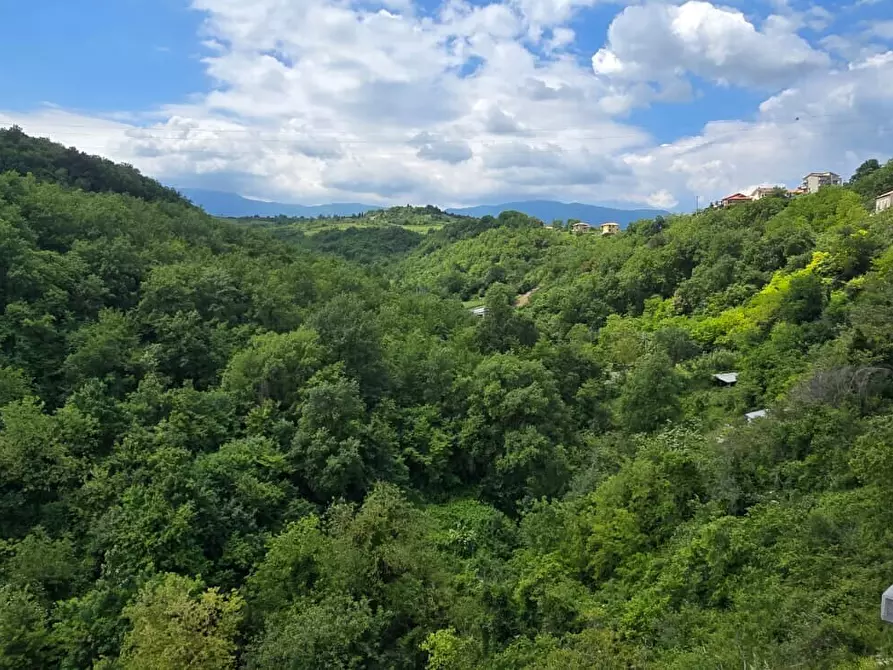Immagine 47 di Appartamento in vendita  in Via Municipio a Abbateggio