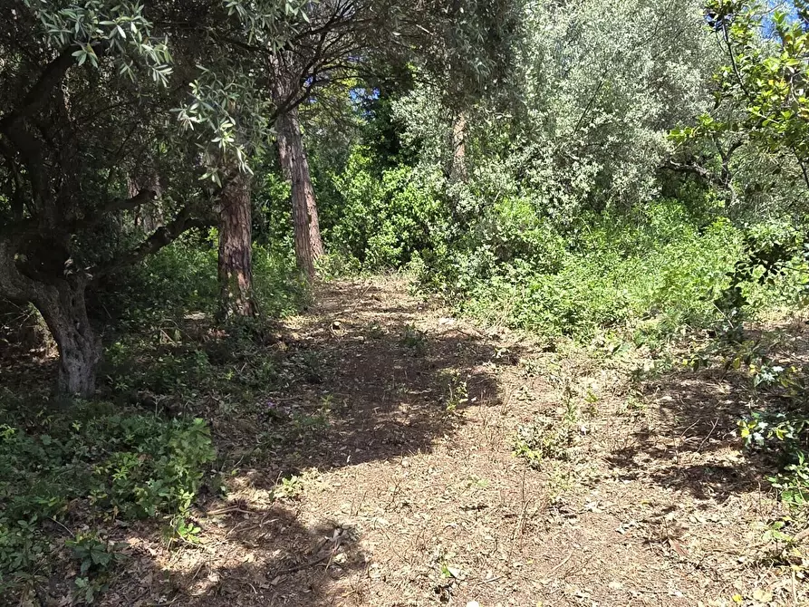 Immagine 14 di Terreno residenziale in vendita  in Strada Vicinale Agostinone a Montesilvano