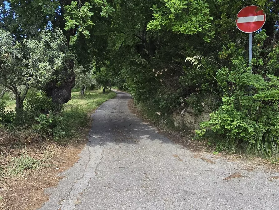 Immagine 15 di Terreno residenziale in vendita  in Strada Vicinale Agostinone a Montesilvano