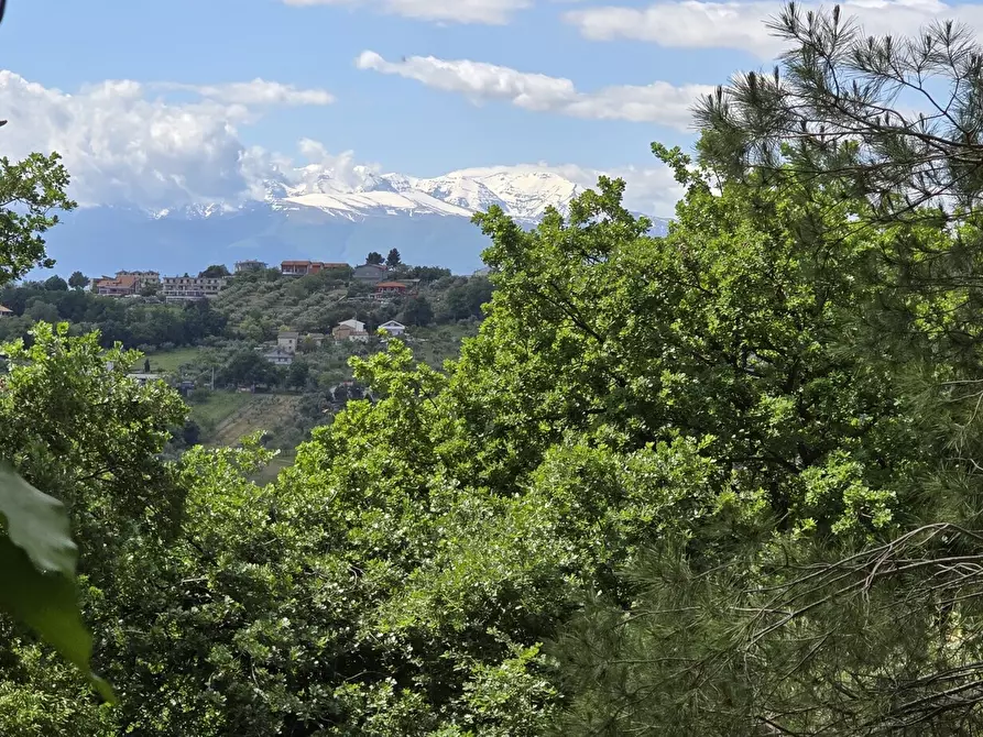 Immagine 6 di Terreno residenziale in vendita  in Strada Vicinale Agostinone a Montesilvano