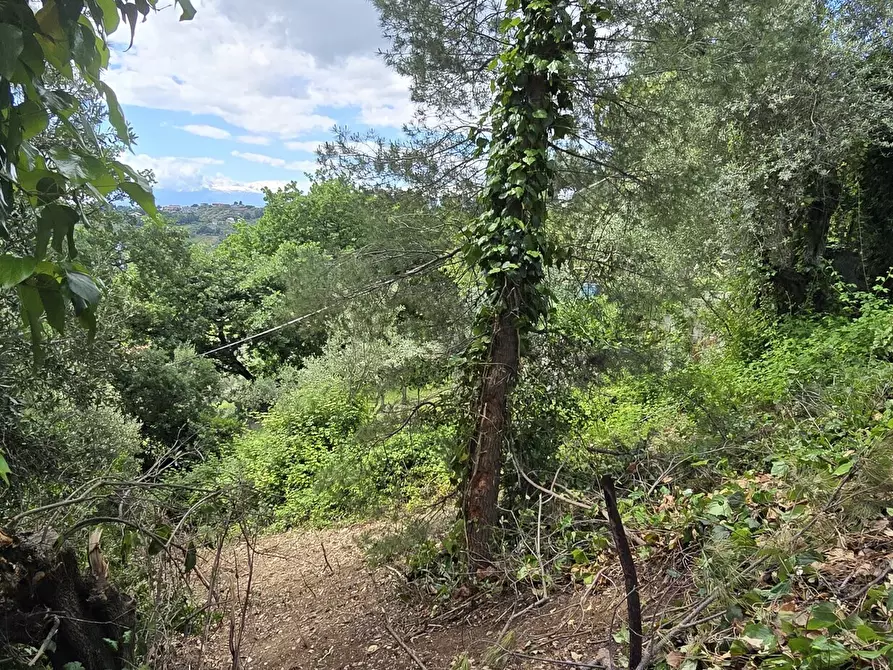 Immagine 9 di Terreno residenziale in vendita  in Strada Vicinale Agostinone a Montesilvano