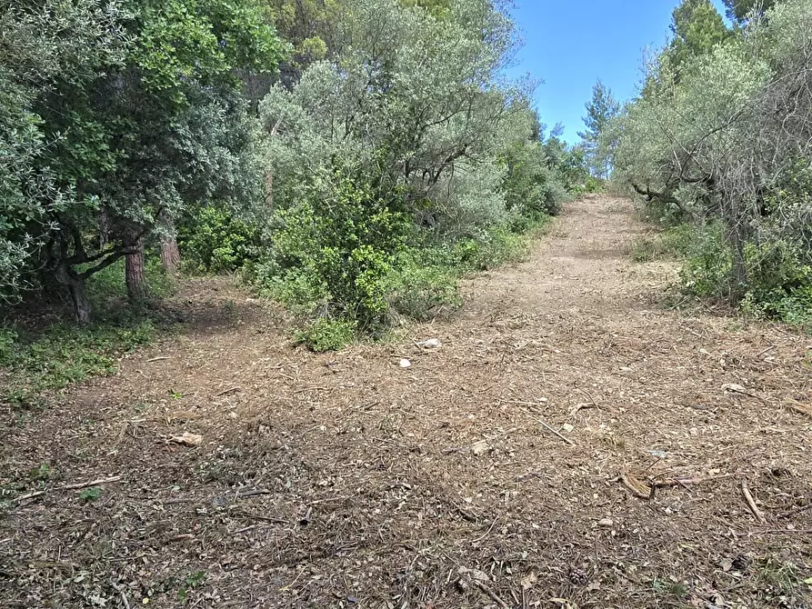 Immagine 18 di Terreno residenziale in vendita  in Strada Vicinale Agostinone a Montesilvano